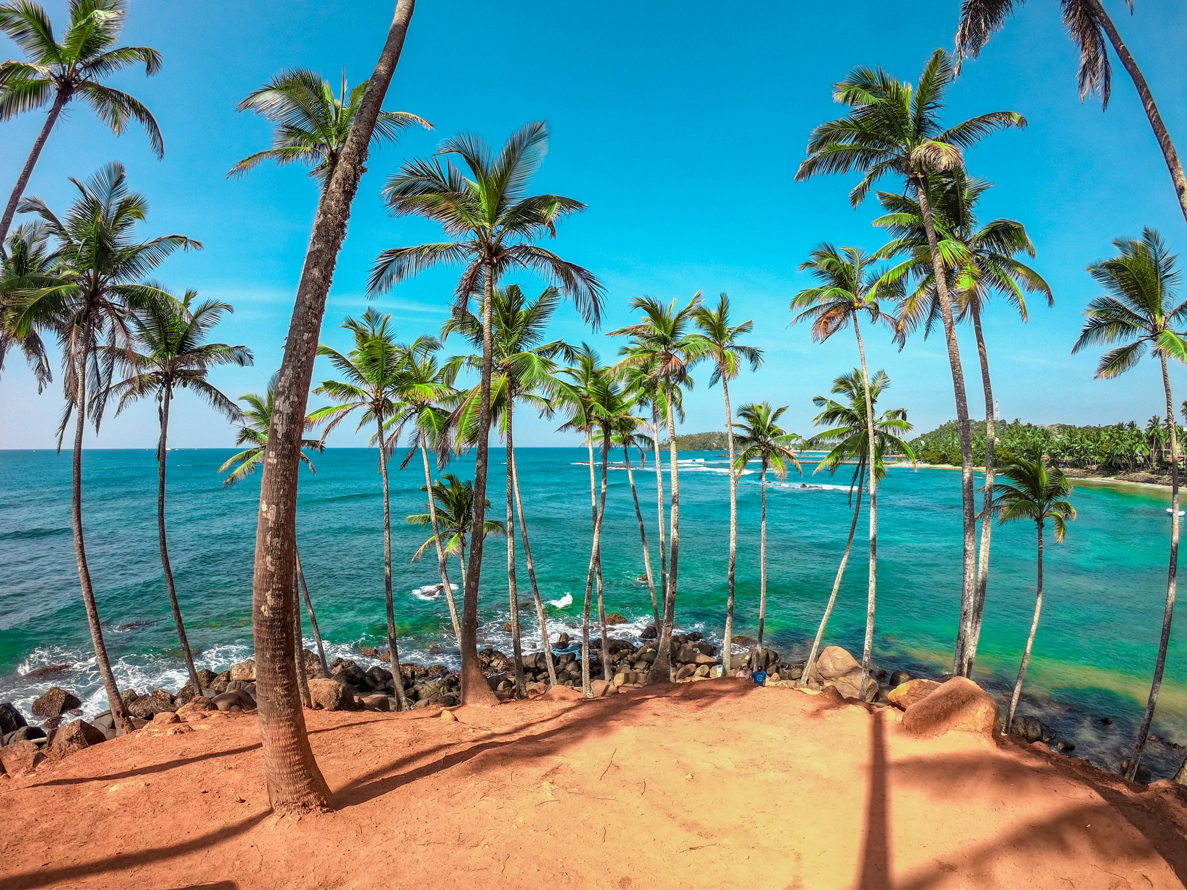 Arugam Bay