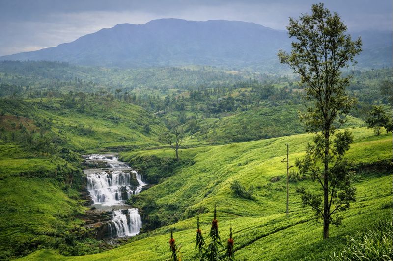Horton Plains
