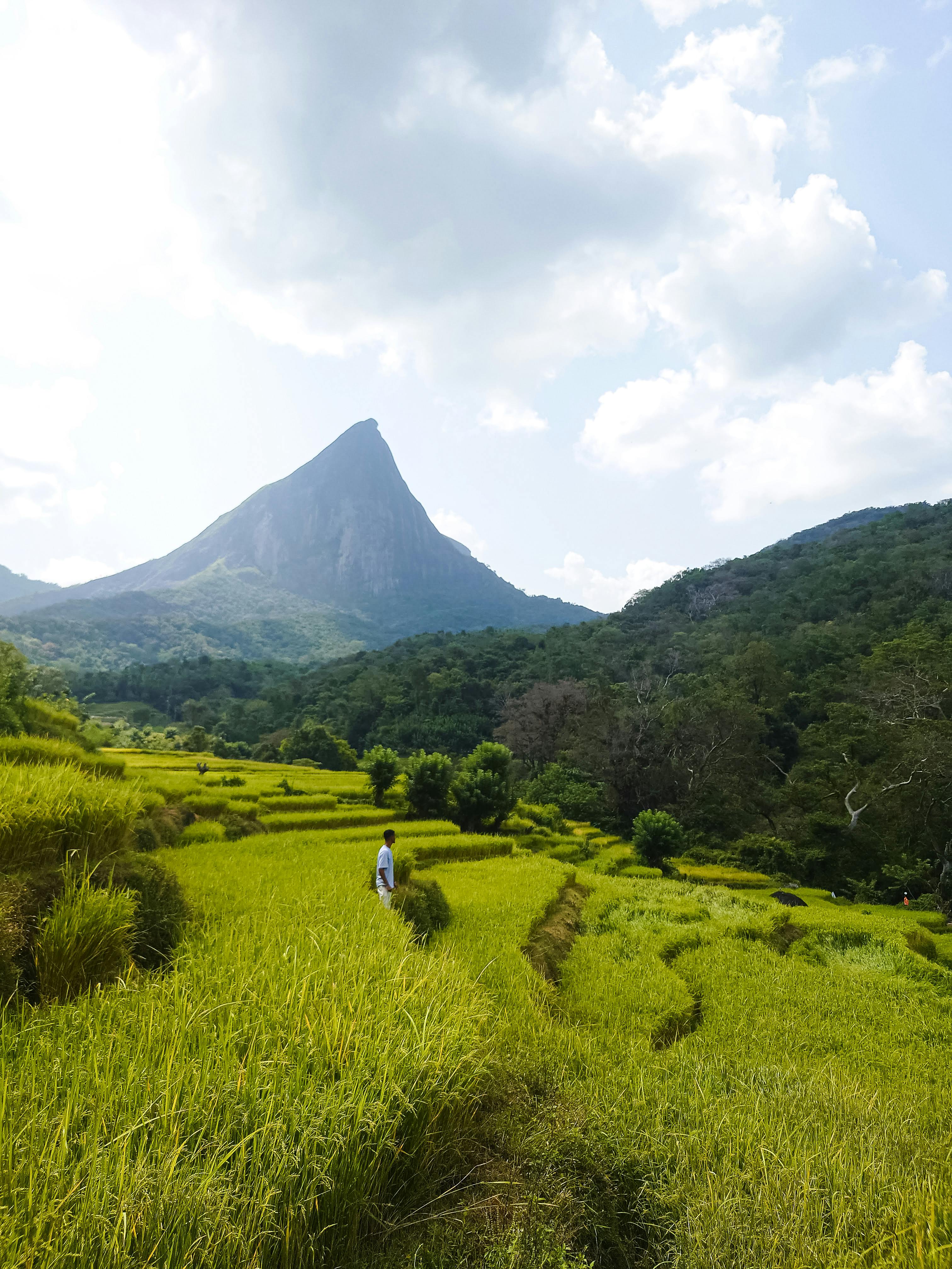 Sigiriya