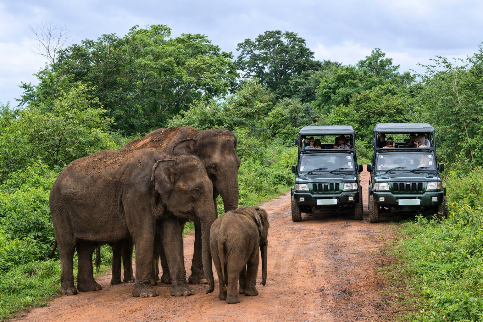 Udawalawe